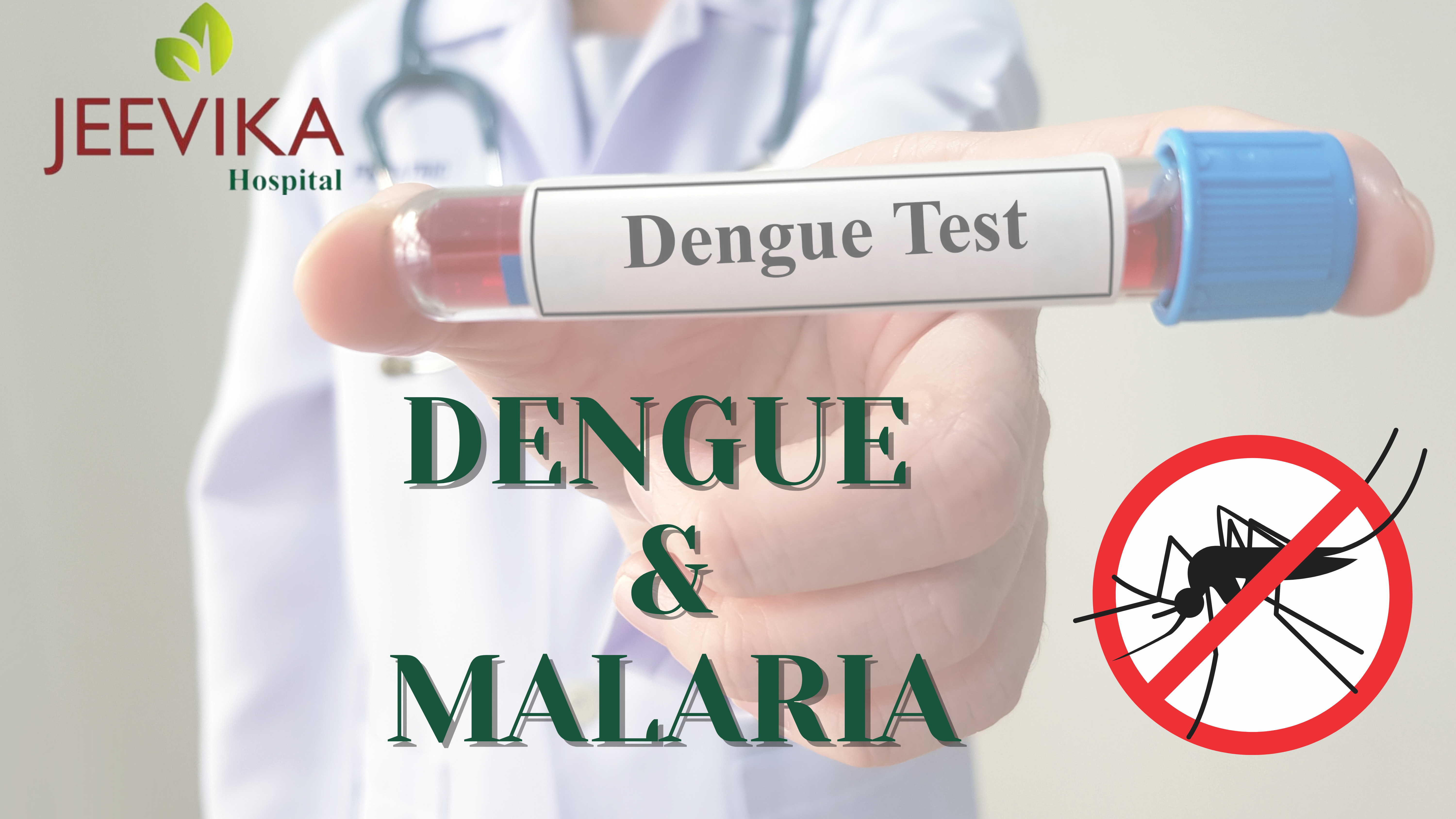 dengue and maleria